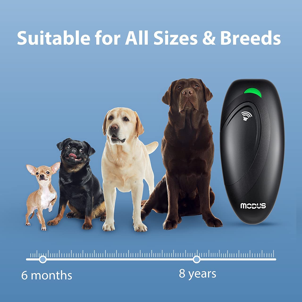 MODUS beep-mode demonstration acting as dog-clicker cue before ultrasonic emission