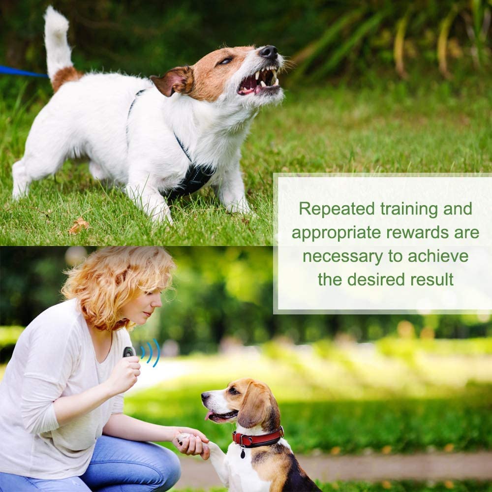 MODUS bark deterrent with 16ft range targets distant barking effectively in real-life scenarios.
