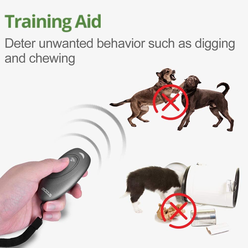 MODUS training-solution helps reinforce calm behavior in everyday situations.