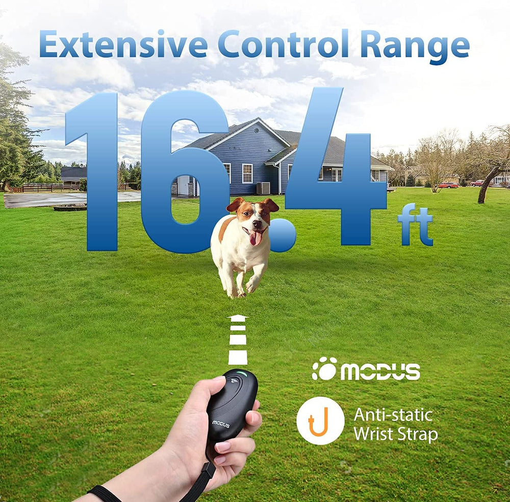 MODUS anti-static wrist strap attaches for secure outdoor sessions