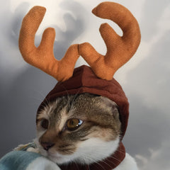 MOHYS Cat Elk Hat close-up plush texture soft and cozy