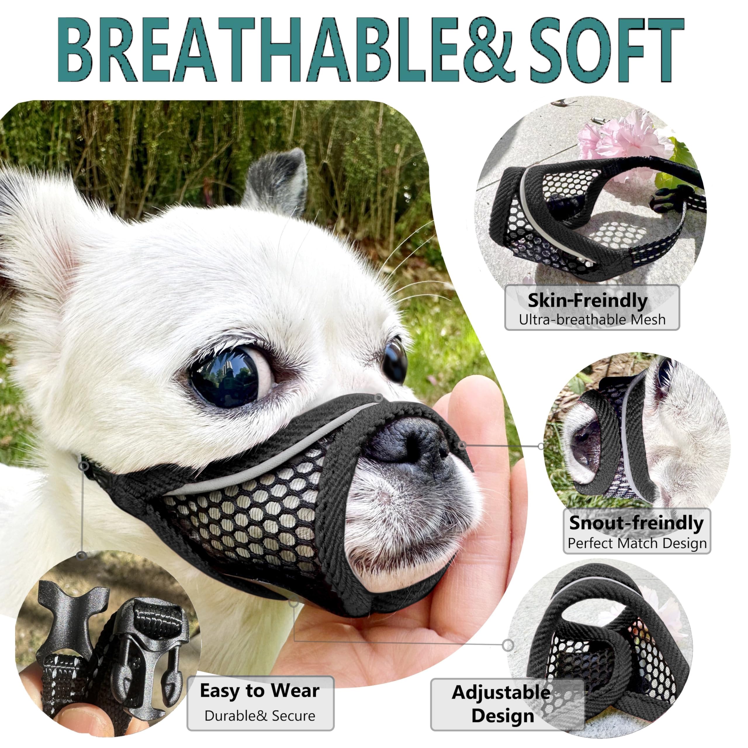 MoiiLavin breathable mesh muzzle design keeps small dogs cool during use