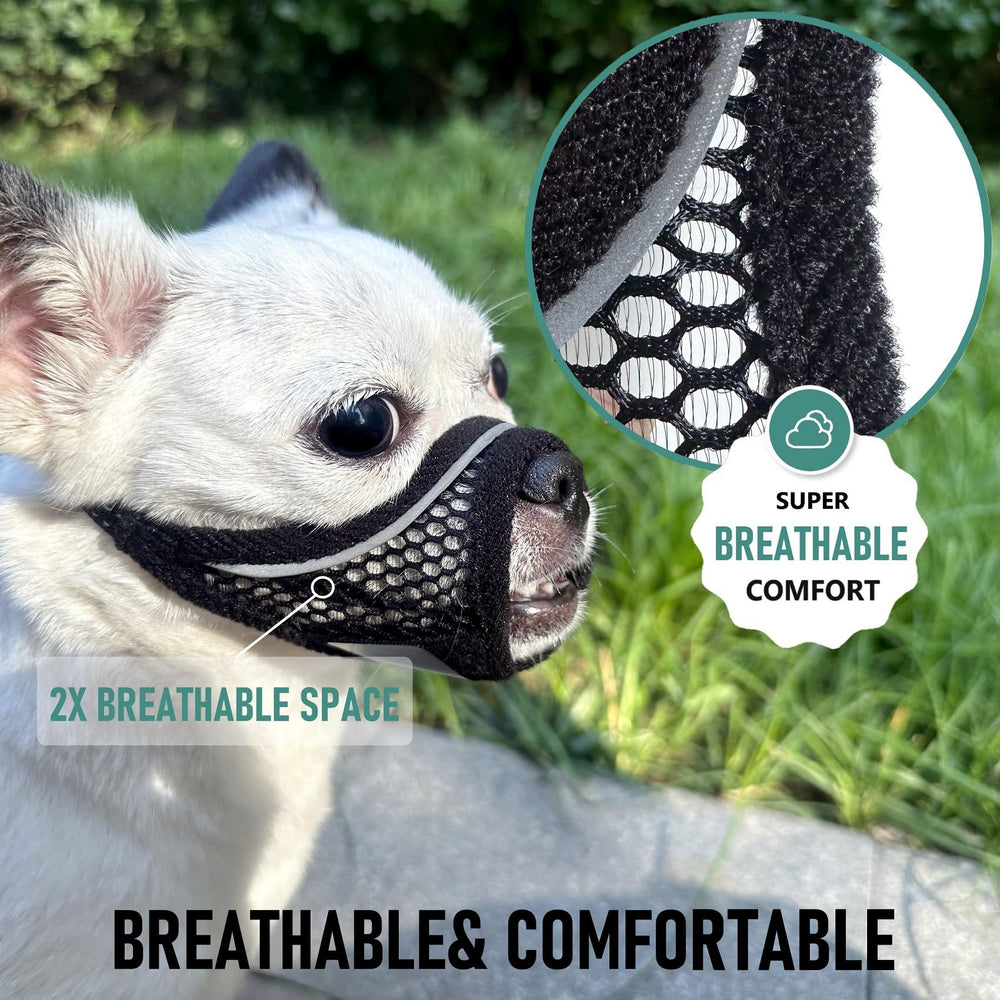 MoiiLavin XXS muzzle fits Chihuahua securely for grooming and handling
