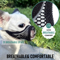 MoiiLavin XXS muzzle fits Chihuahua securely for grooming and handling