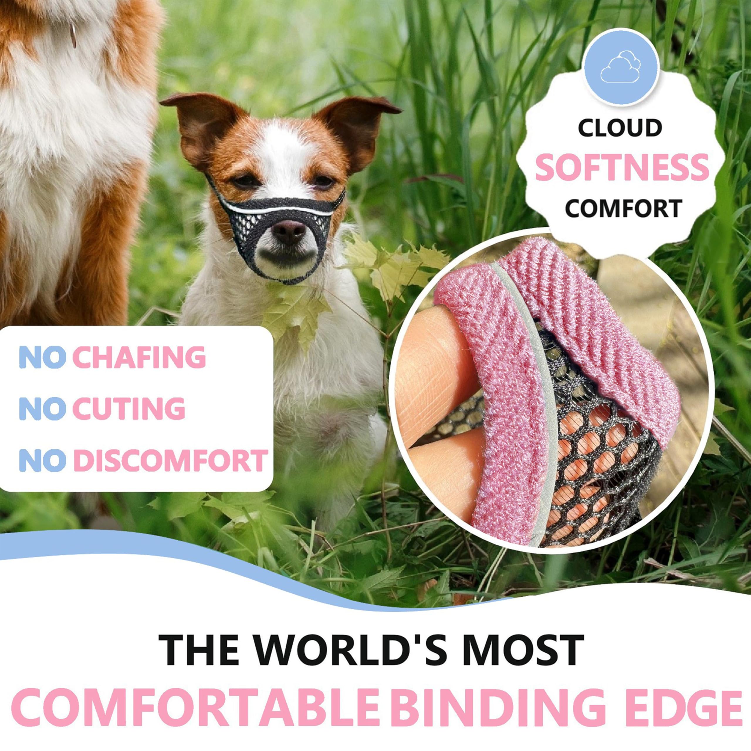 MoiiLavin muzzle with reflective straps for safe nighttime walks.
