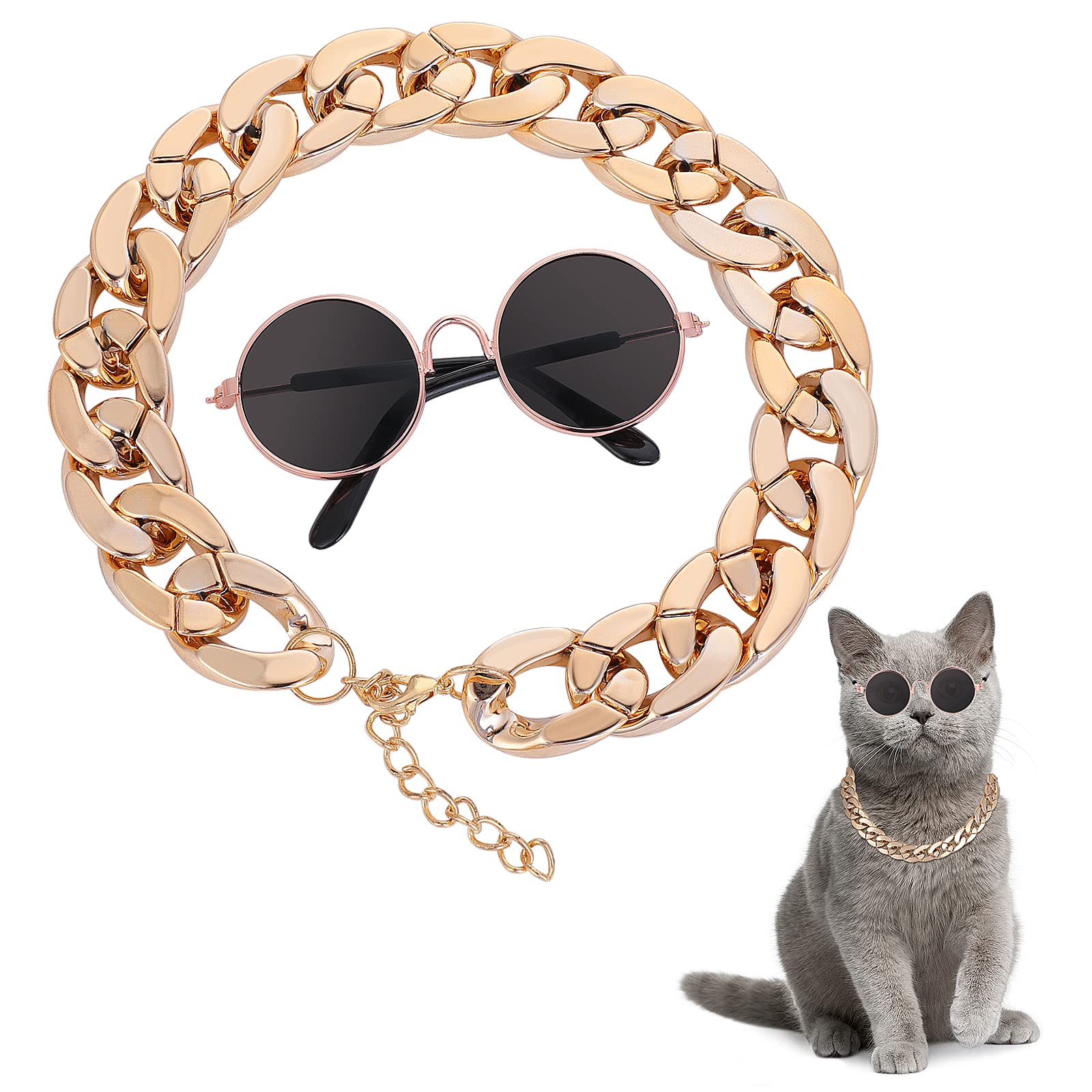 Molain cat sunglasses close-up for stylish outdoor pet photography