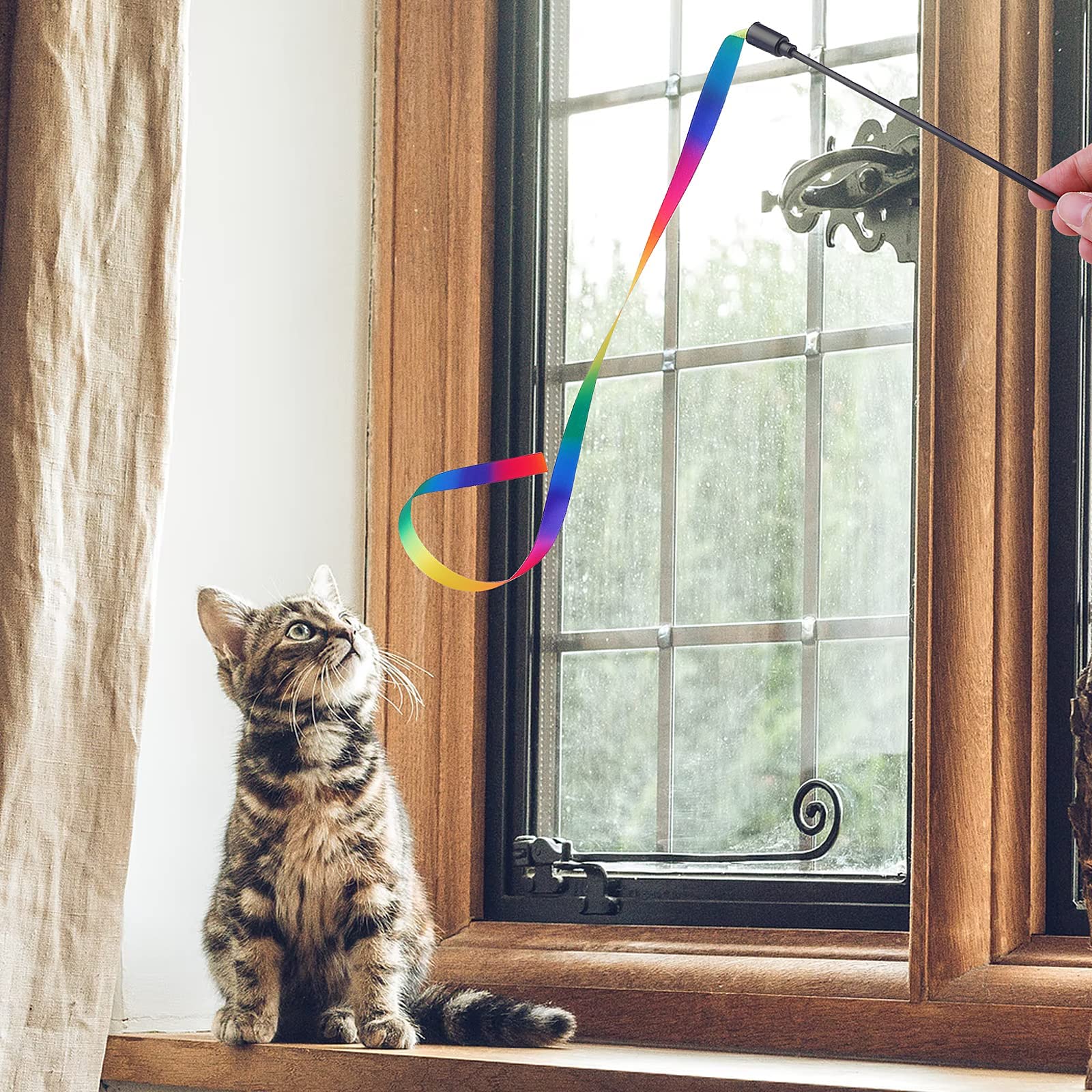 Molain cat wand gift-ready set appeals to cat lovers and new guardians.