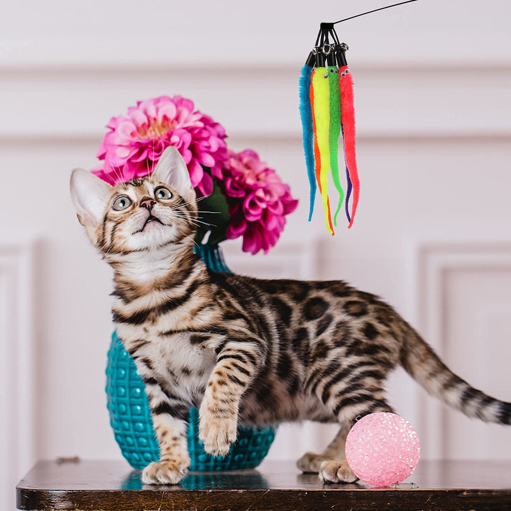 Molain cat wand refill worm-bundle colors showcases six options for varied play.