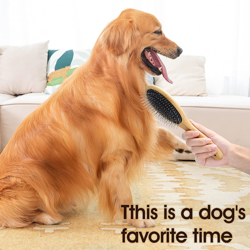 Molain pin brush ideal for dogs with double coats or long thick hair.