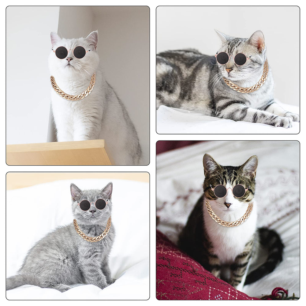 Molain gold chain pet collar highlights vintage chic look in photos