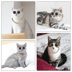Molain gold chain pet collar highlights vintage chic look in photos