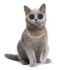 Molain pet photo prop set shows coordinated eyewear and necklace