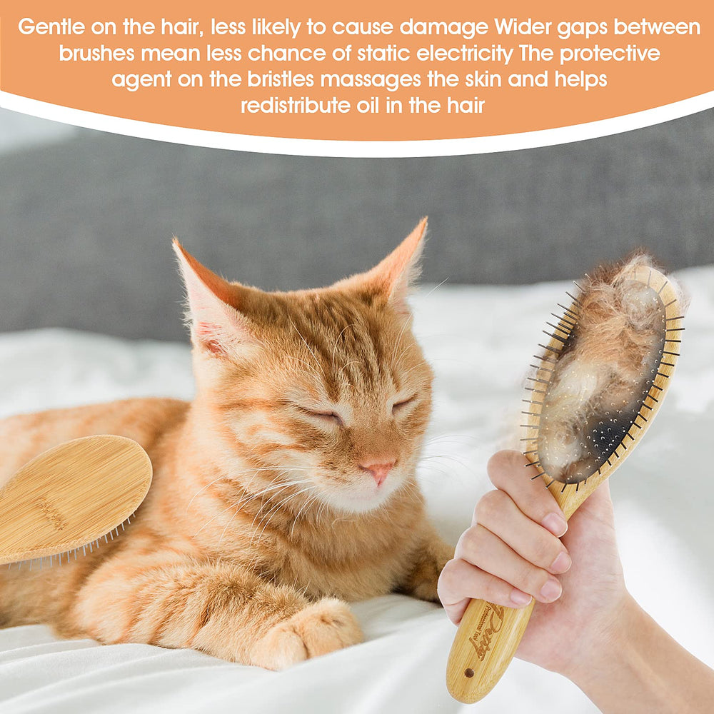 Molain grooming promotes healthy fur by distributing natural oils across the coat.
