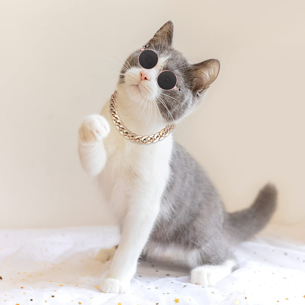 Molain puppy collar necklace adjustable to fit small pets