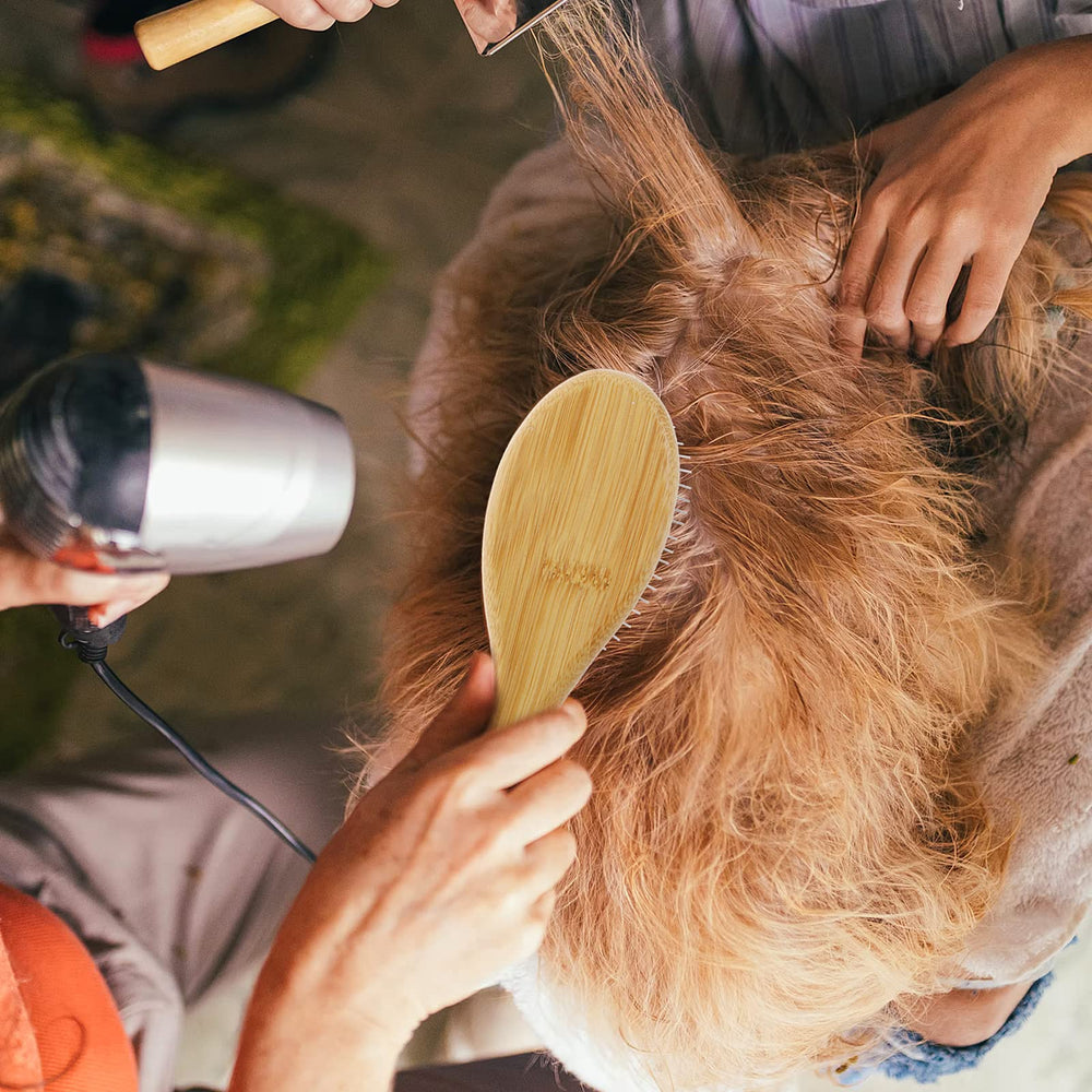Molain brush removes loose undercoat to reduce shedding around the home.