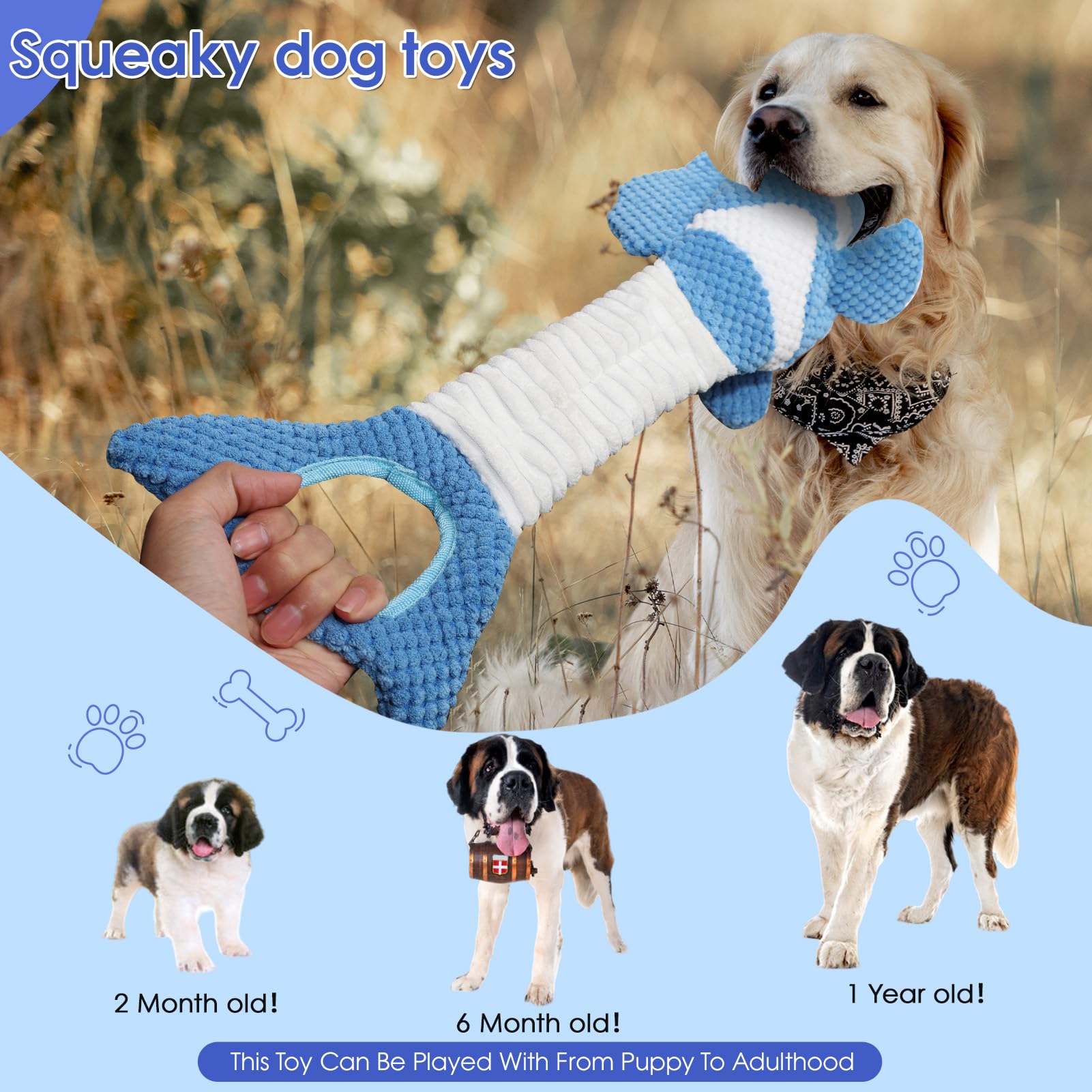 Molantaule dog toy squeaker inside boosts excitement and interactive play