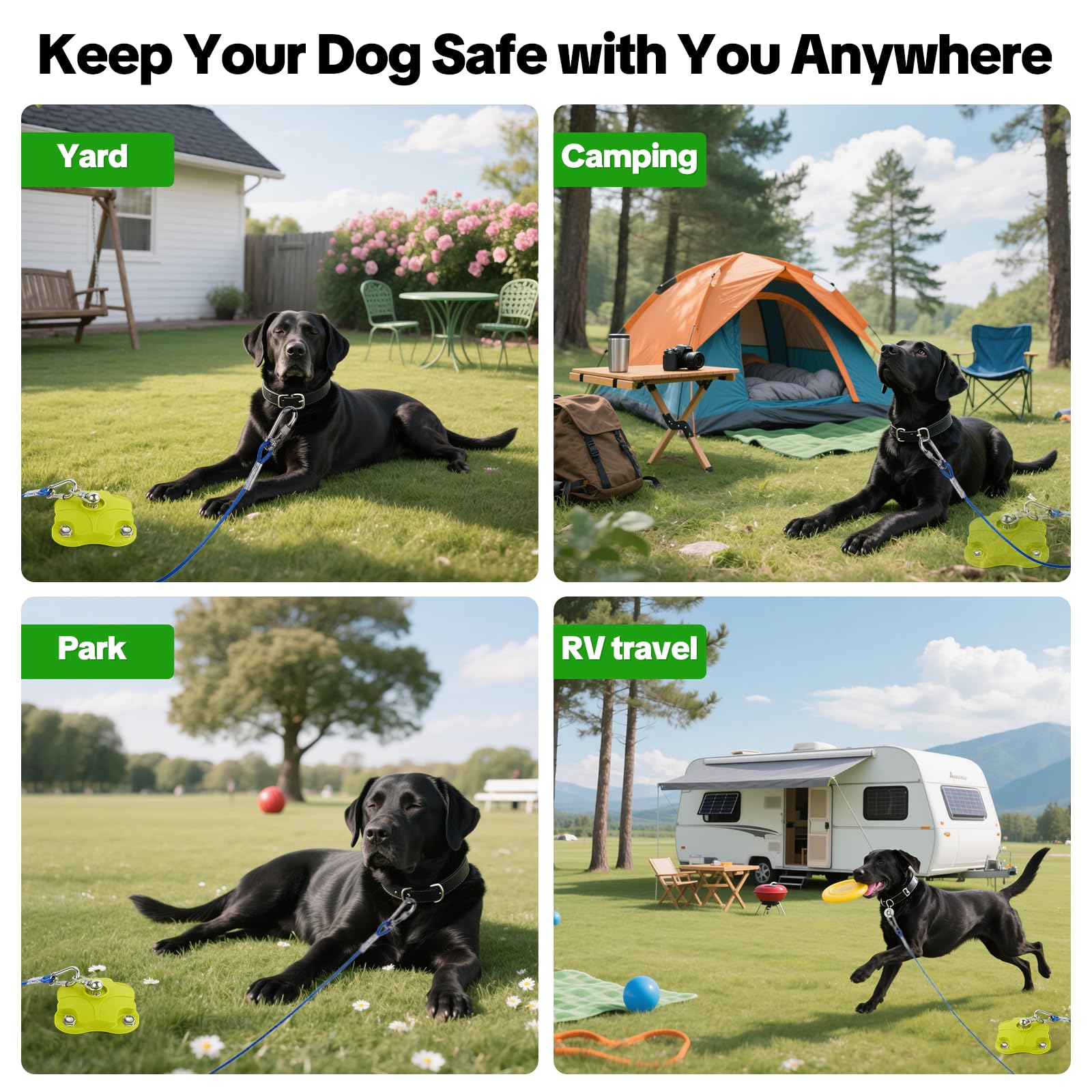 MOLANZ portable-dog-run-kit-outdoor ideal for camping, beaches, yards.