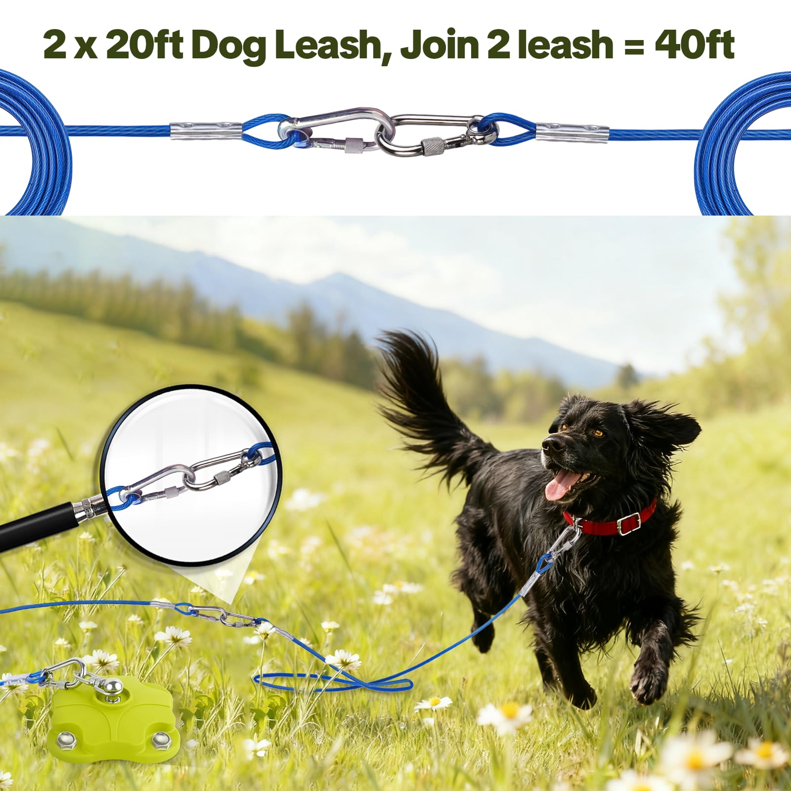 MOLANZ two-20ft-cables extended demonstrates expandable dog runner for long outdoor adventures.