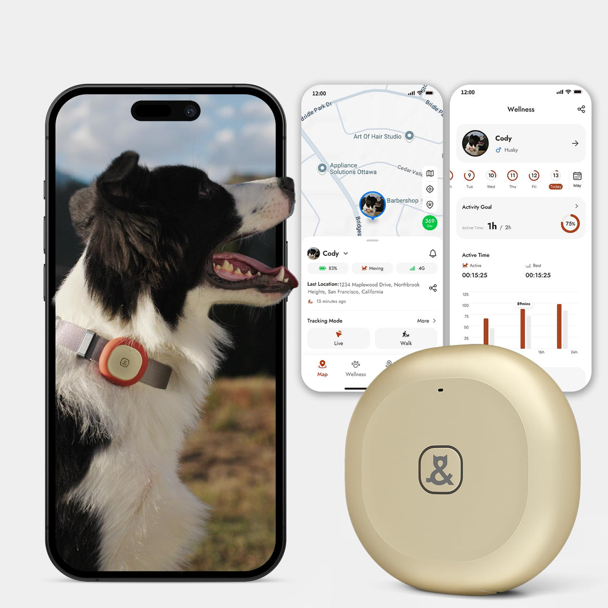Molly&Cody GPS Bluetooth pet tracker real-time location for quick spot checks.