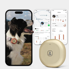Molly&Cody GPS Bluetooth pet tracker real-time location for quick spot checks.