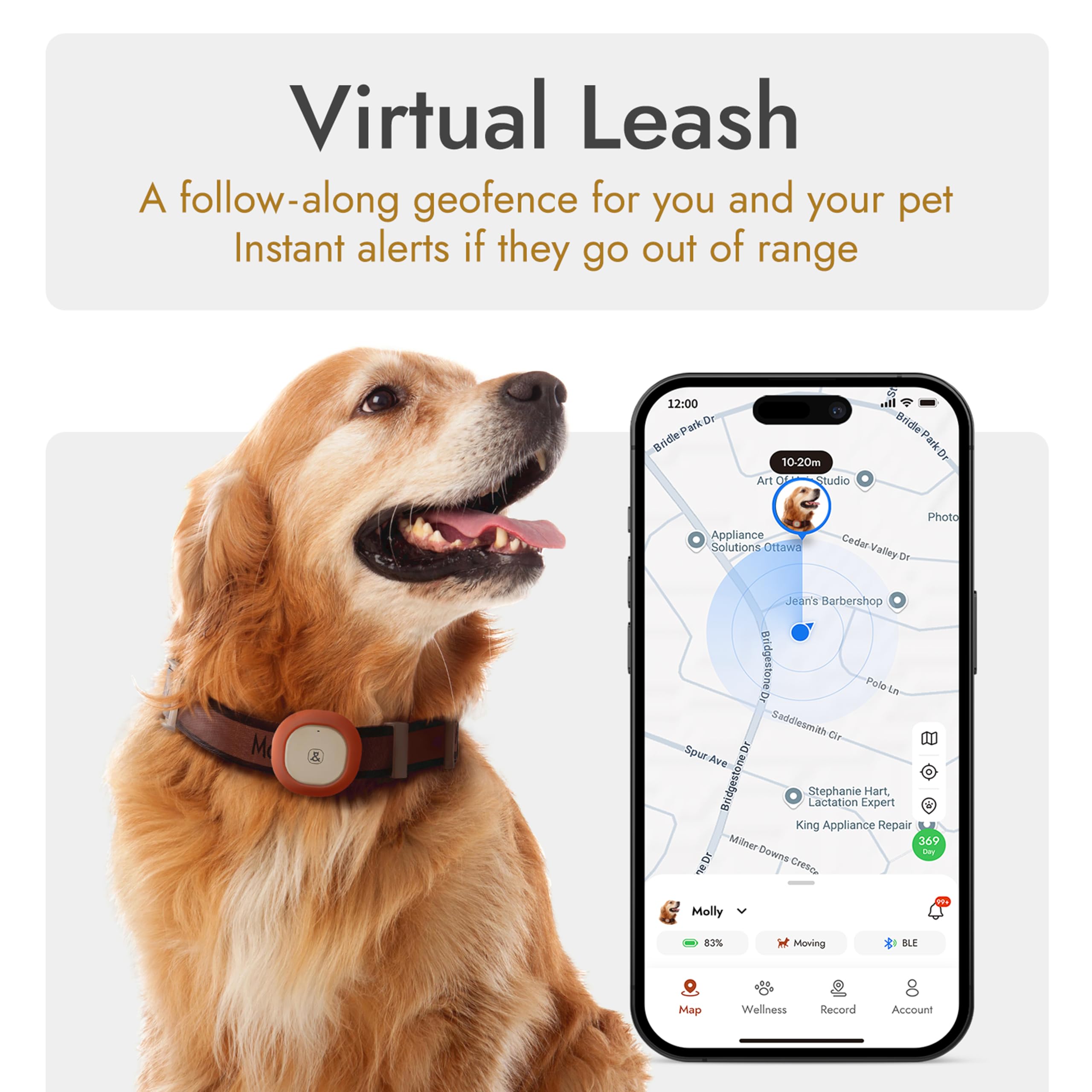 Molly&Cody virtual fence alerts demonstrate geofence safety during walks.