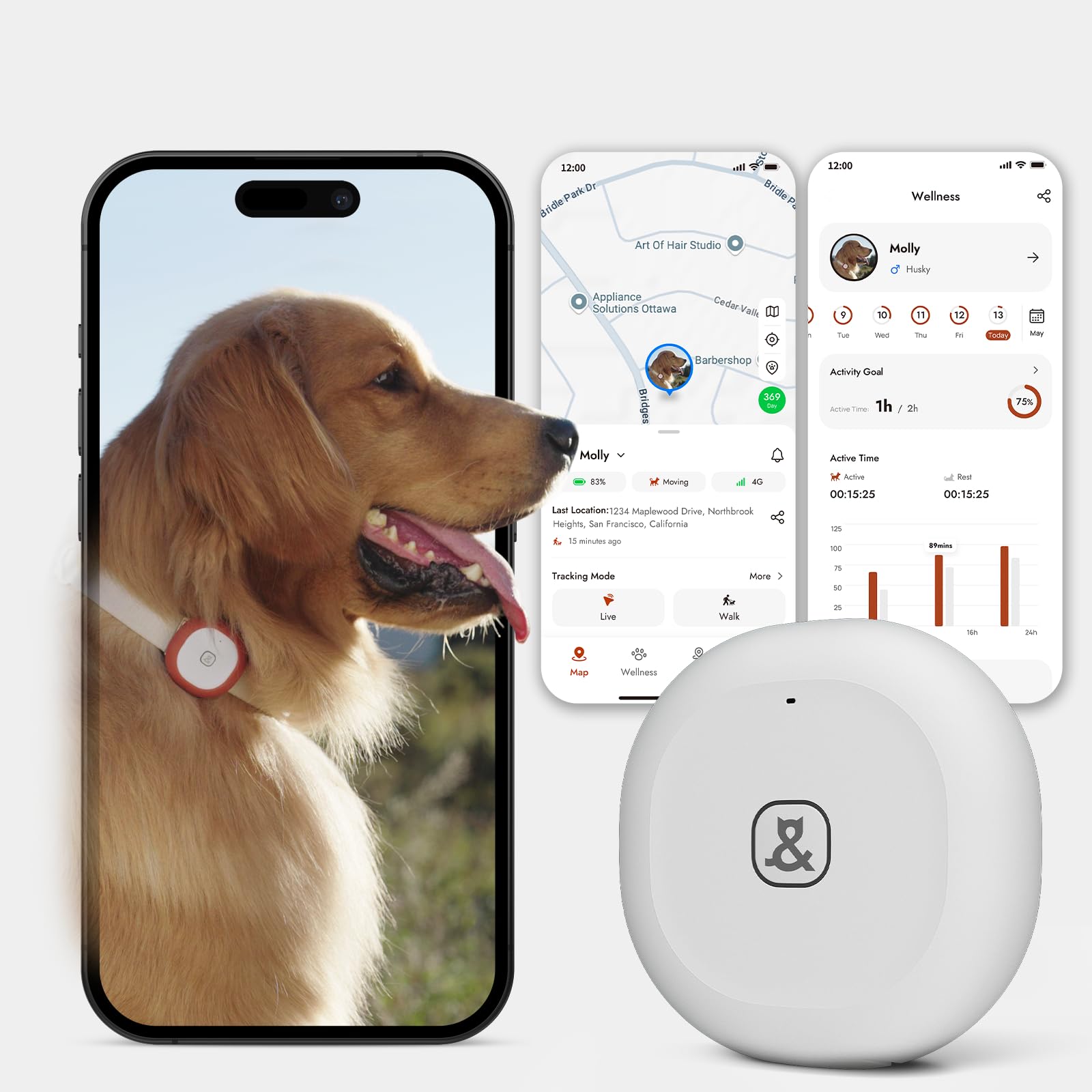 MOLLY&amp;CODY GPS Bluetooth tracker front view showing real‑time tracking for pets.