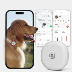 MOLLY&amp;CODY GPS Bluetooth tracker front view showing real‑time tracking for pets.