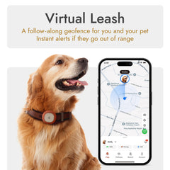 MOLLY&amp;CODY GPS tracker on a dog demonstrates reliable location during daily walks.