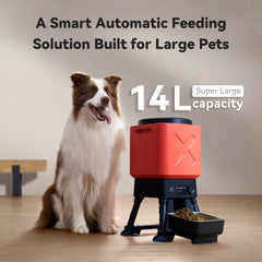 MOLLY&CODY automatic dog feeder lid open shows large-kibble compatibility and easy refills.
