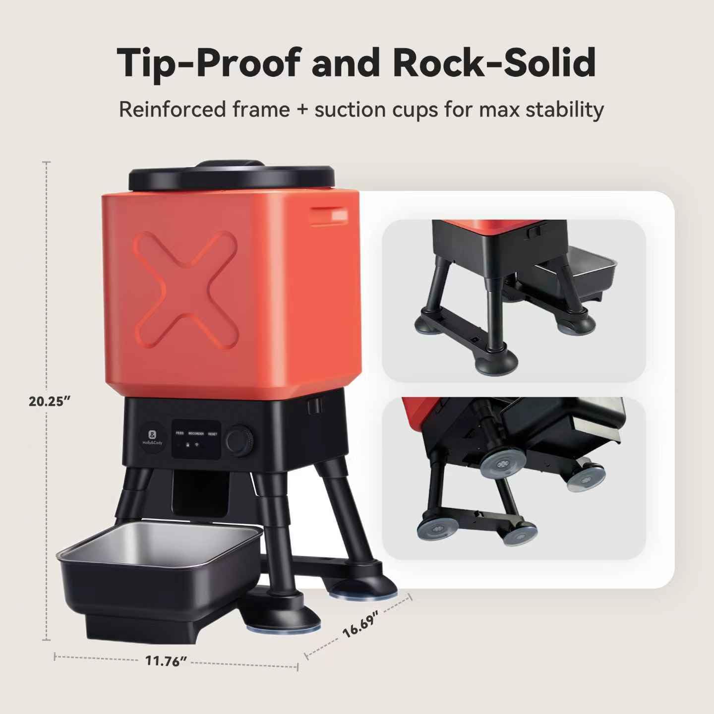 MOLLY&CODY elevated stainless-steel bowl promotes comfortable feeding posture.