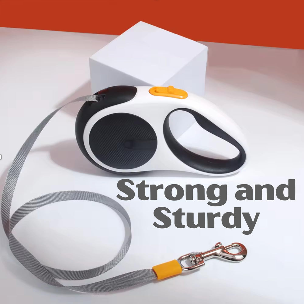 MOLNY dog walking setup offers easier, comfortable everyday adventures.