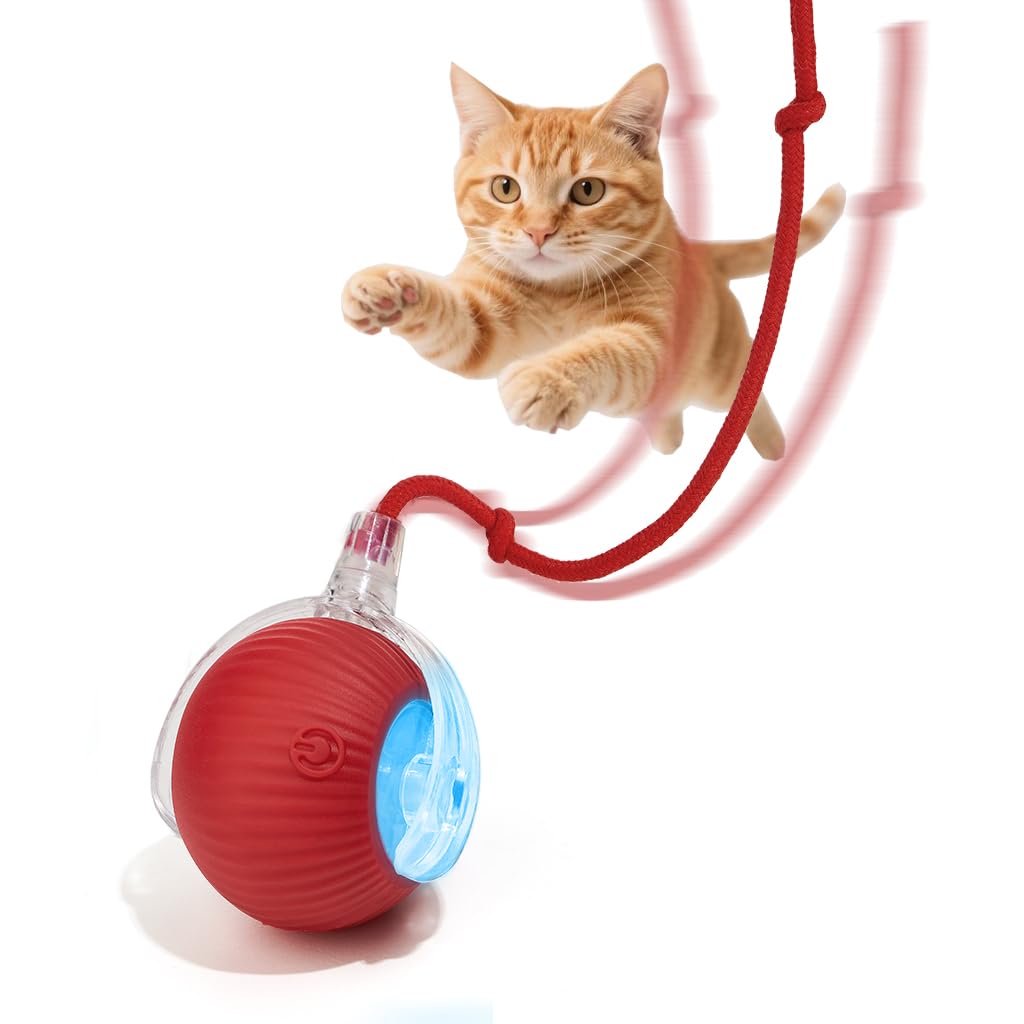 molxiobul Interactive Toy Ball front view encourages active play for energetic pets
