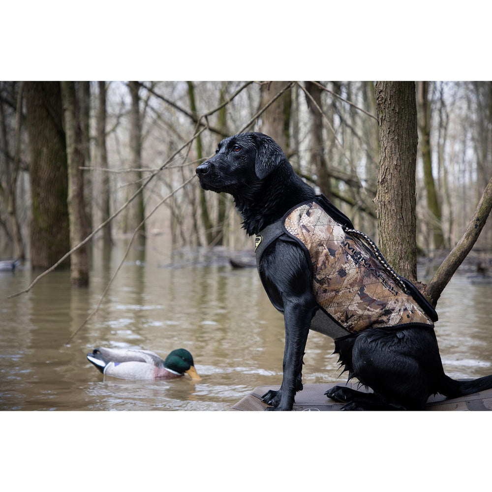 Momarsh Versa-Vest includes paracord handle and steel leash anchor.
