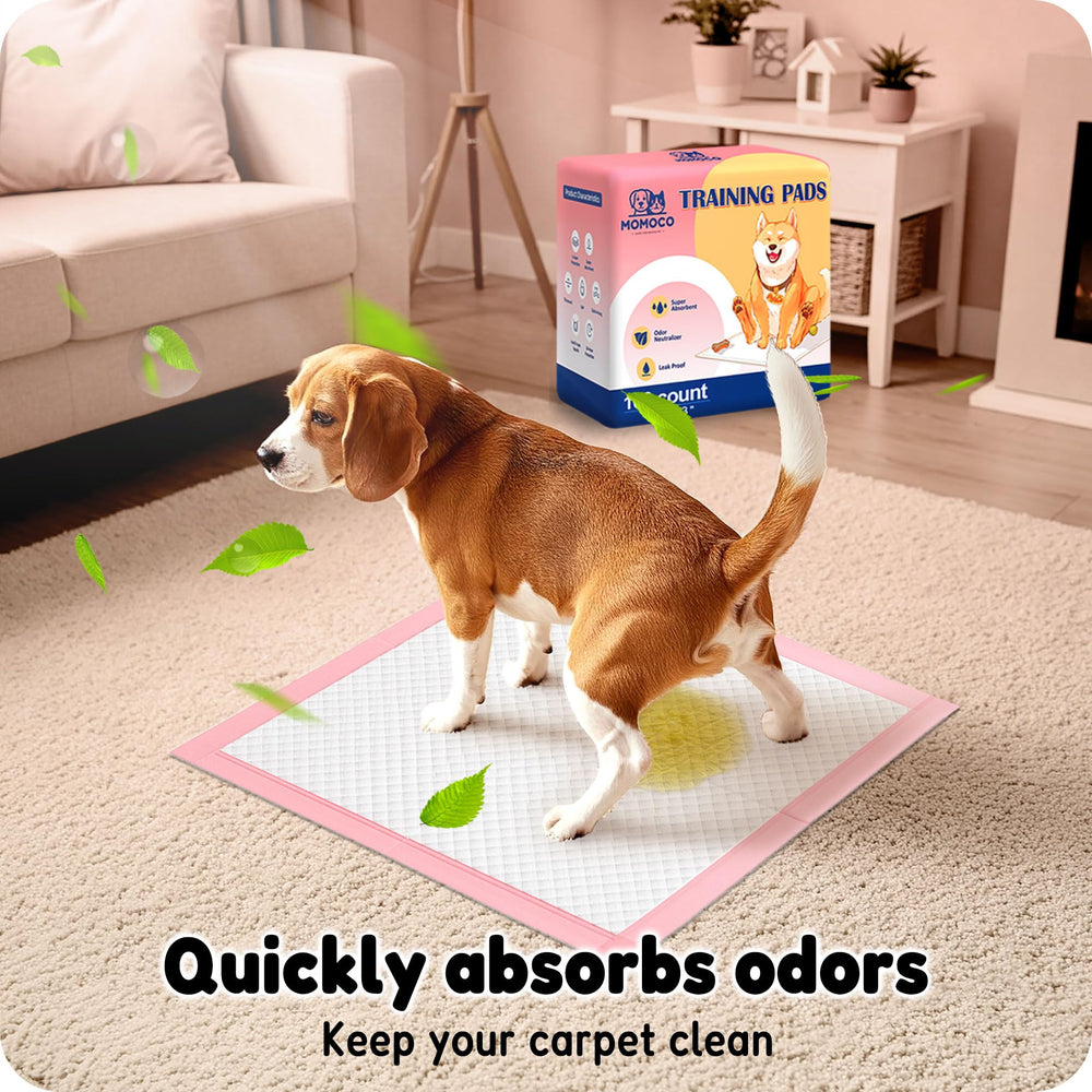 MoMoCo Puppy Pads 100-count demonstrates value for fewer changes and longer use