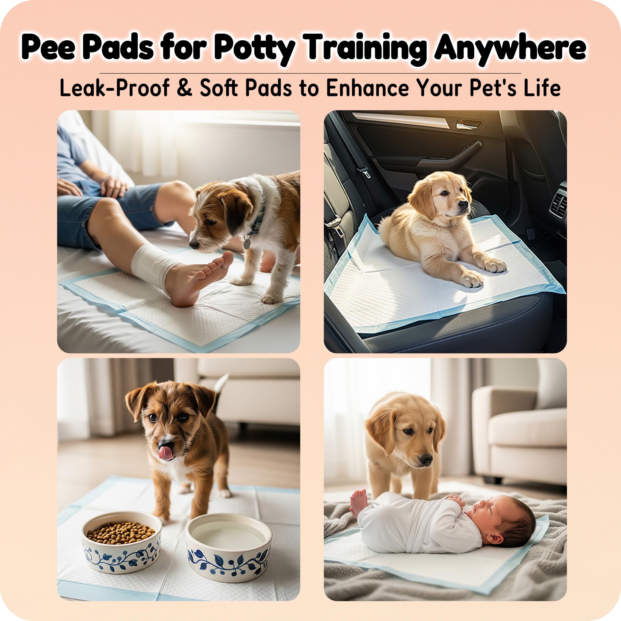 MoMoCo Puppy Pads travel-friendly design supports on-the-go training and care