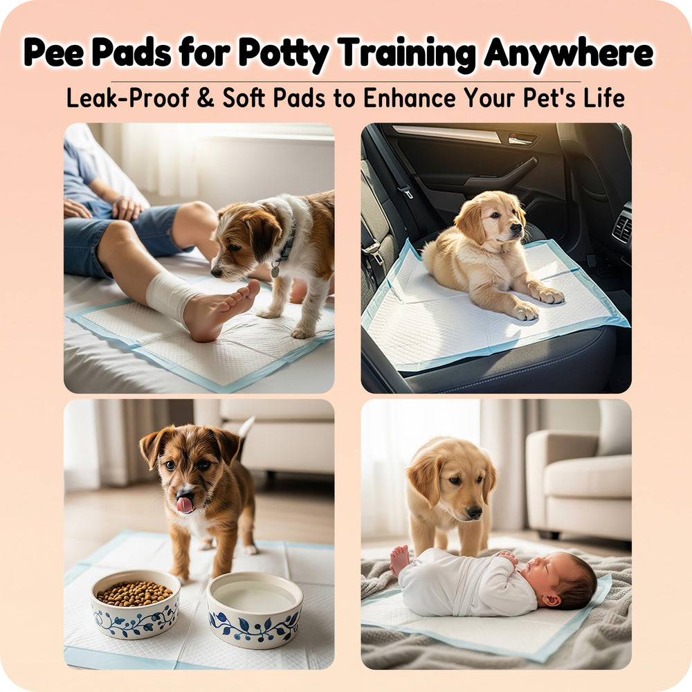 MoMoCo Puppy Pads travel-friendly design supports on-the-go training and care