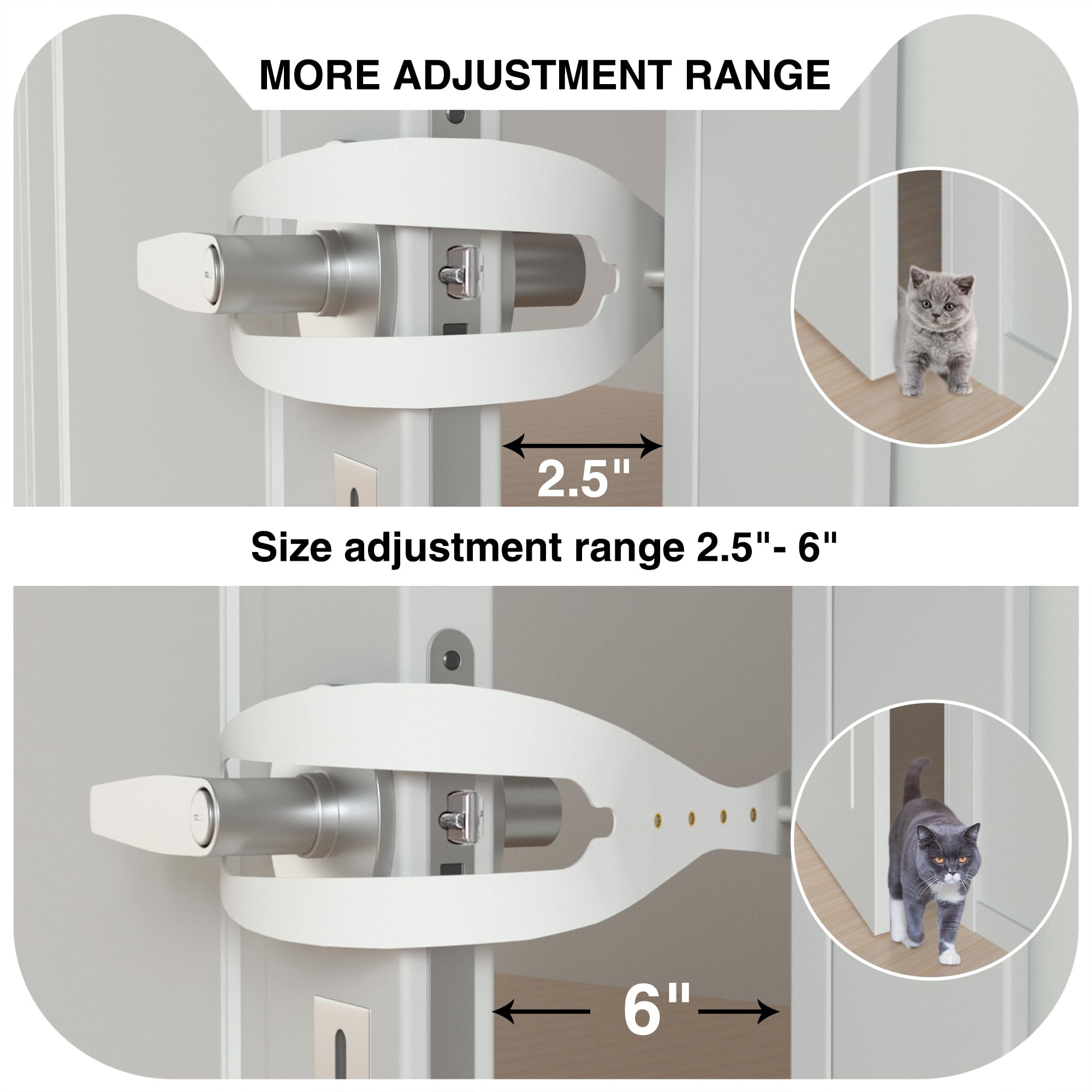 Momoga cat door latch preventing dogs from entering cat spaces, ideal for litter boxes.