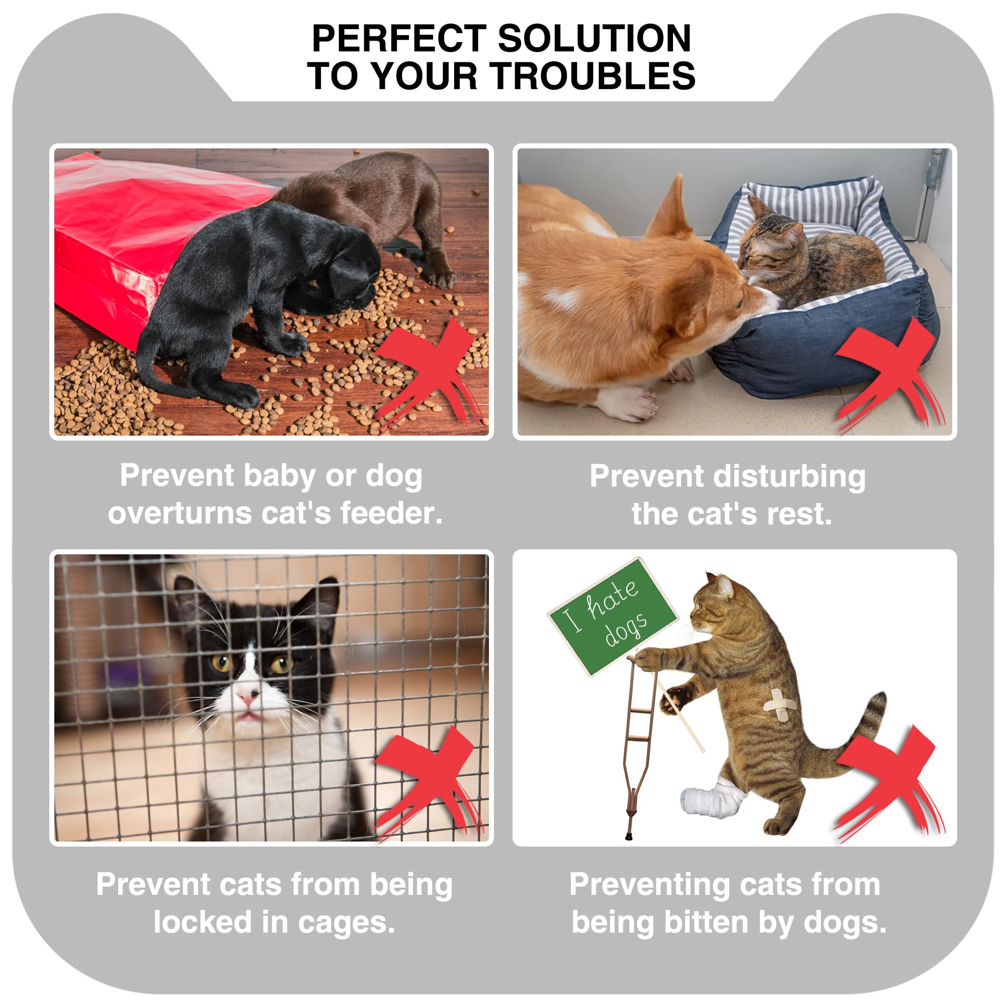 Momoga cat door latch designed to withstand impact from larger pets and toddlers.
