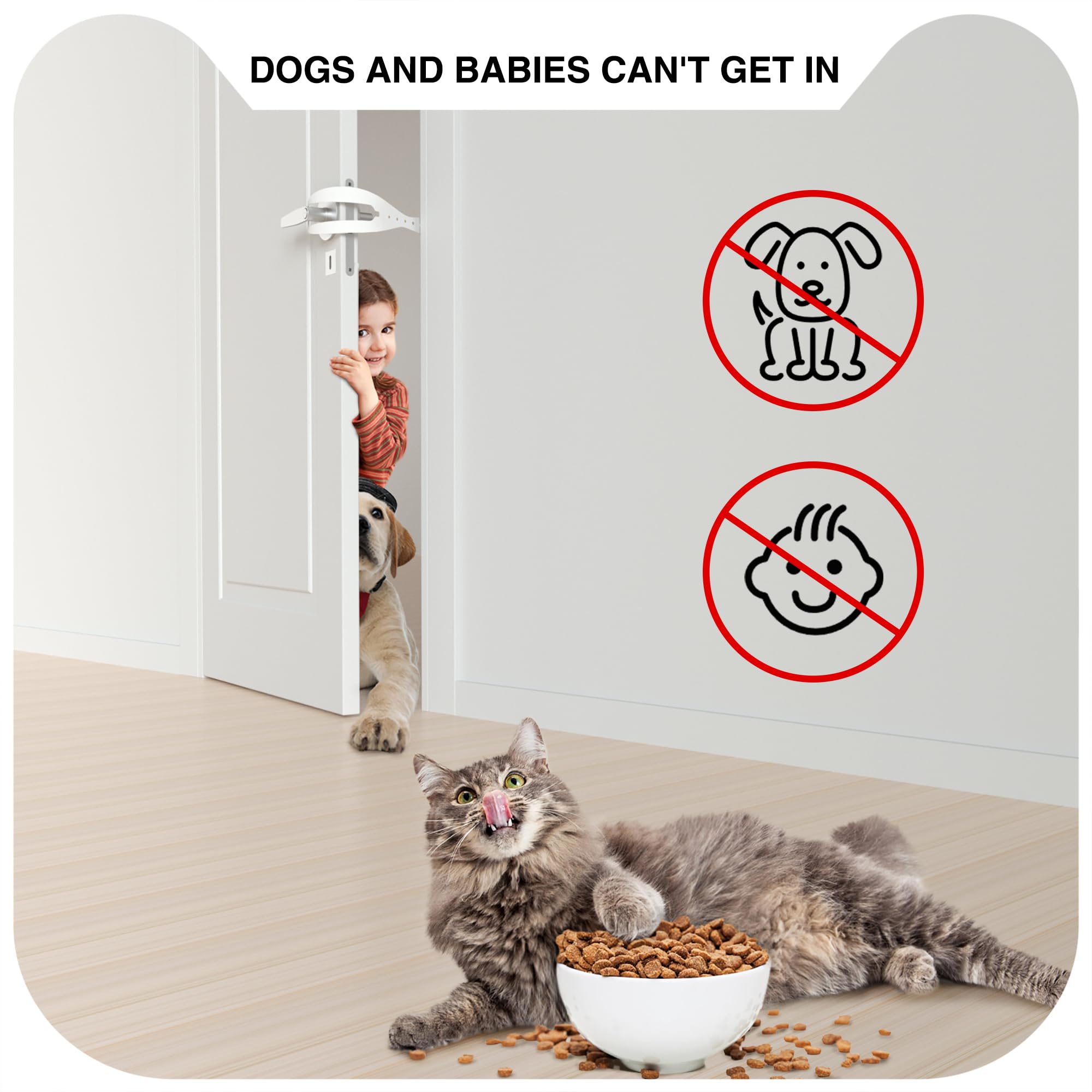 Momoga cat door latch showcasing five adjustable hole sizes for cats and selective access.