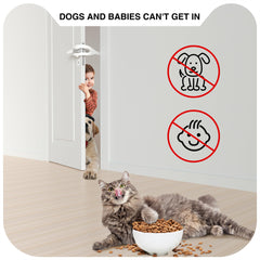 Momoga cat door latch showcasing five adjustable hole sizes for cats and selective access.