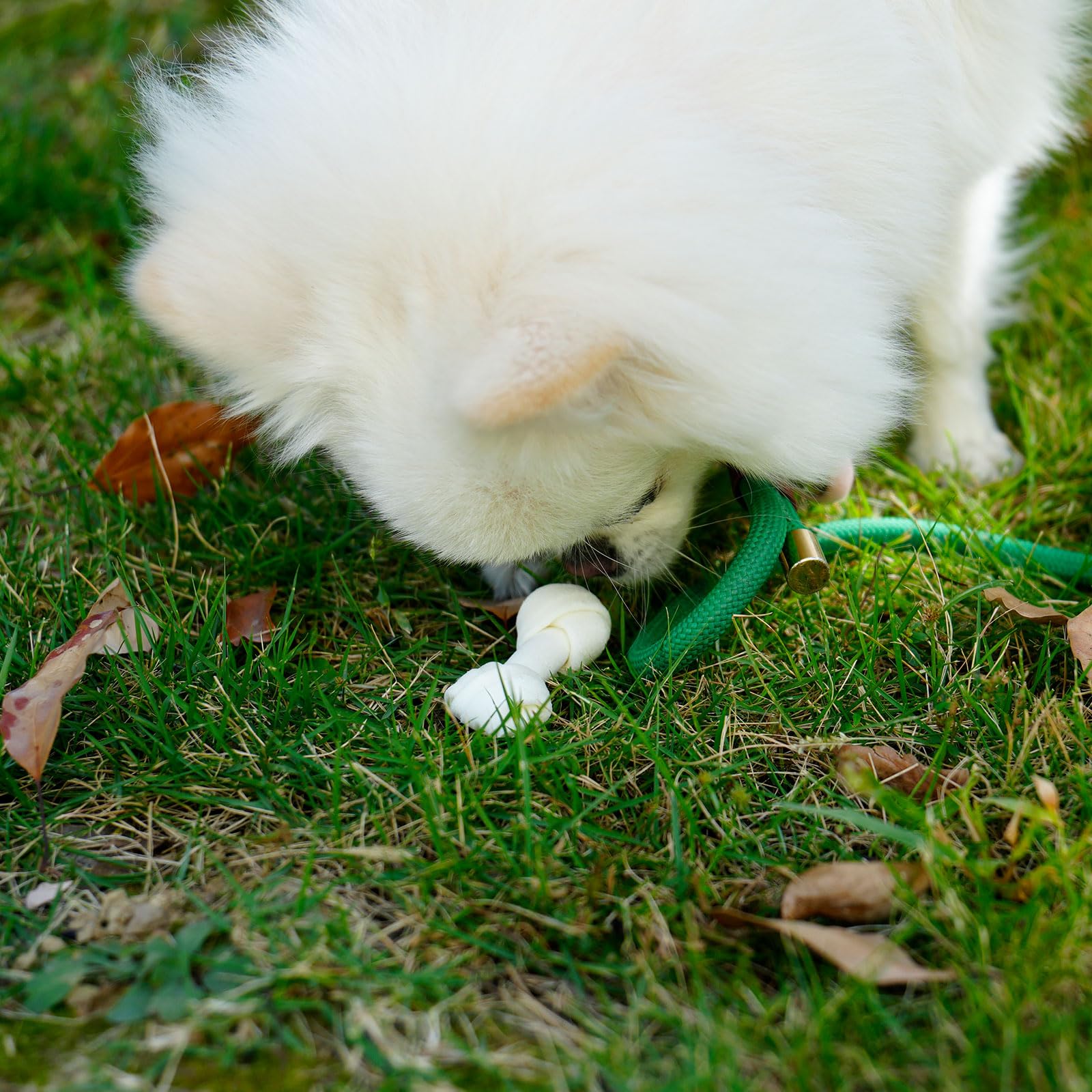 MON2SUN 100-count dog chews offer convenient bulk option for ongoing teething relief.