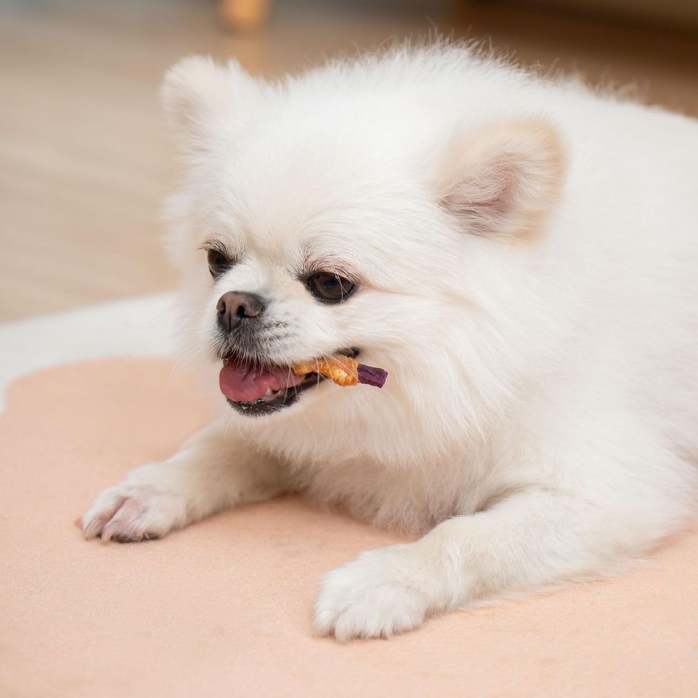 MON2SUN 30-count package showing portioned chews for routine treats