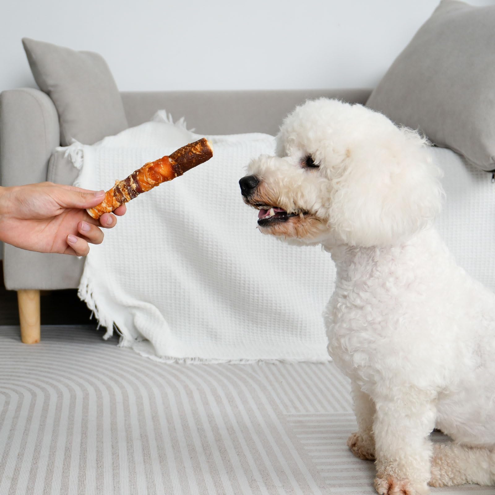 MON2SUN dental-benefit chew can support breath freshening and plaque reduction through chewing.