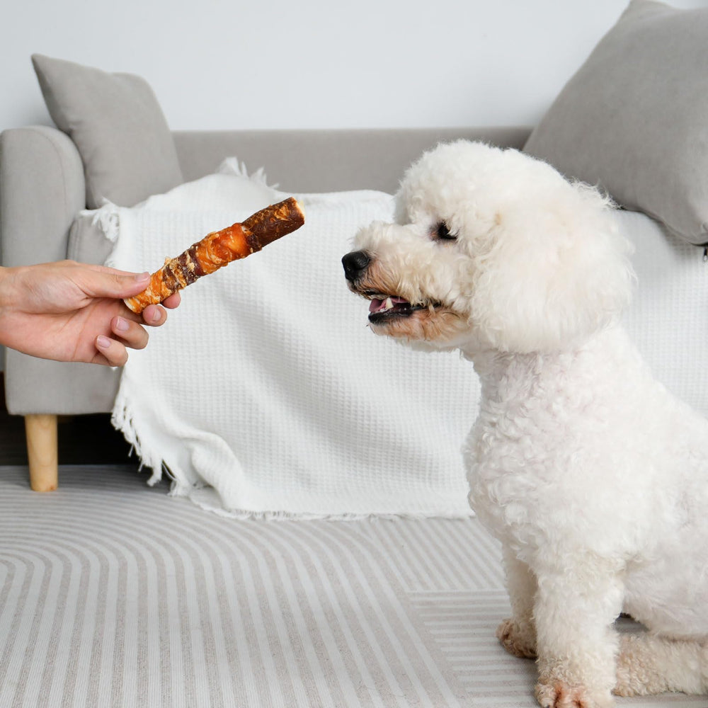 MON2SUN dental-benefit chew can support breath freshening and plaque reduction through chewing.