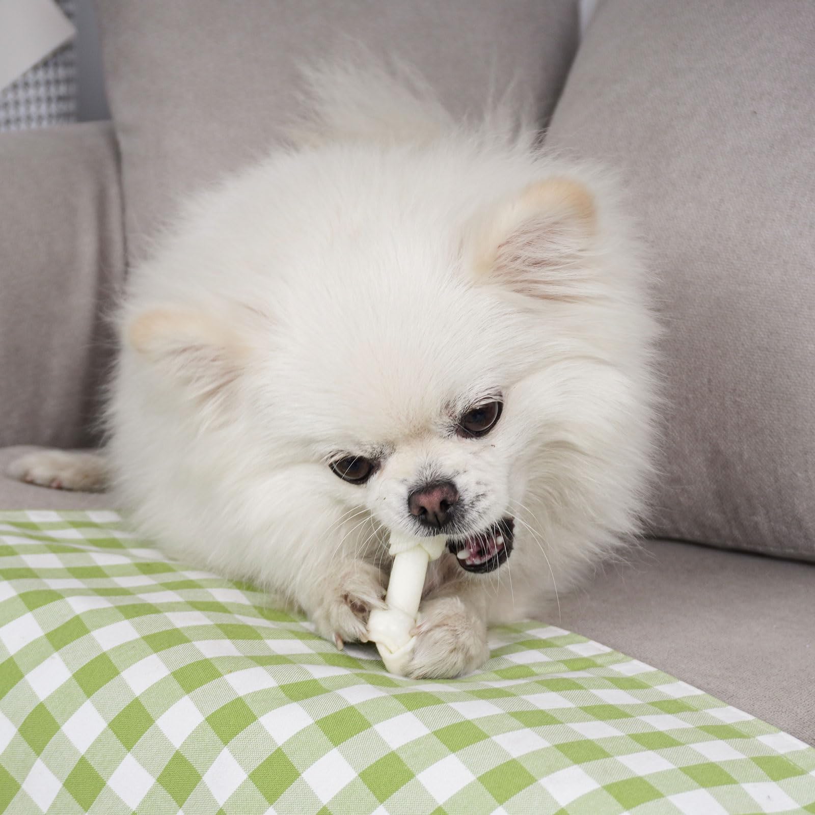 MON2SUN chew-time essentials bring dogs lasting entertainment and calmer energy during fetch.