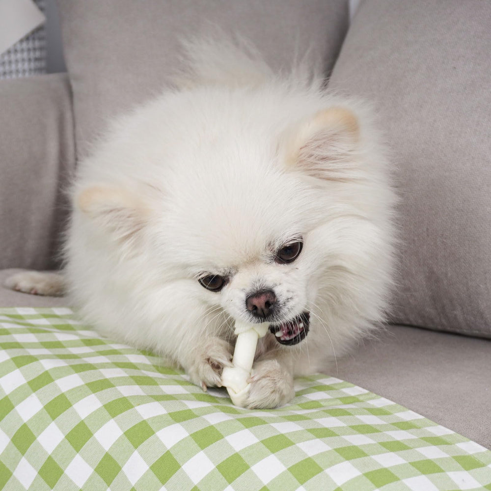MON2SUN chew-time essentials bring dogs lasting entertainment and calmer energy during fetch.