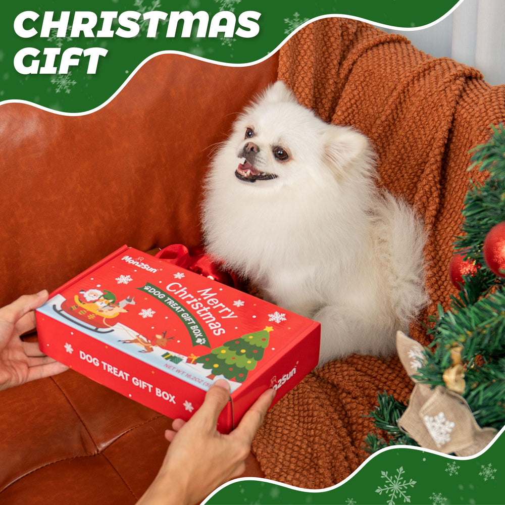 MON2SUN Christmas box variety pack captures nine snack types for dogs