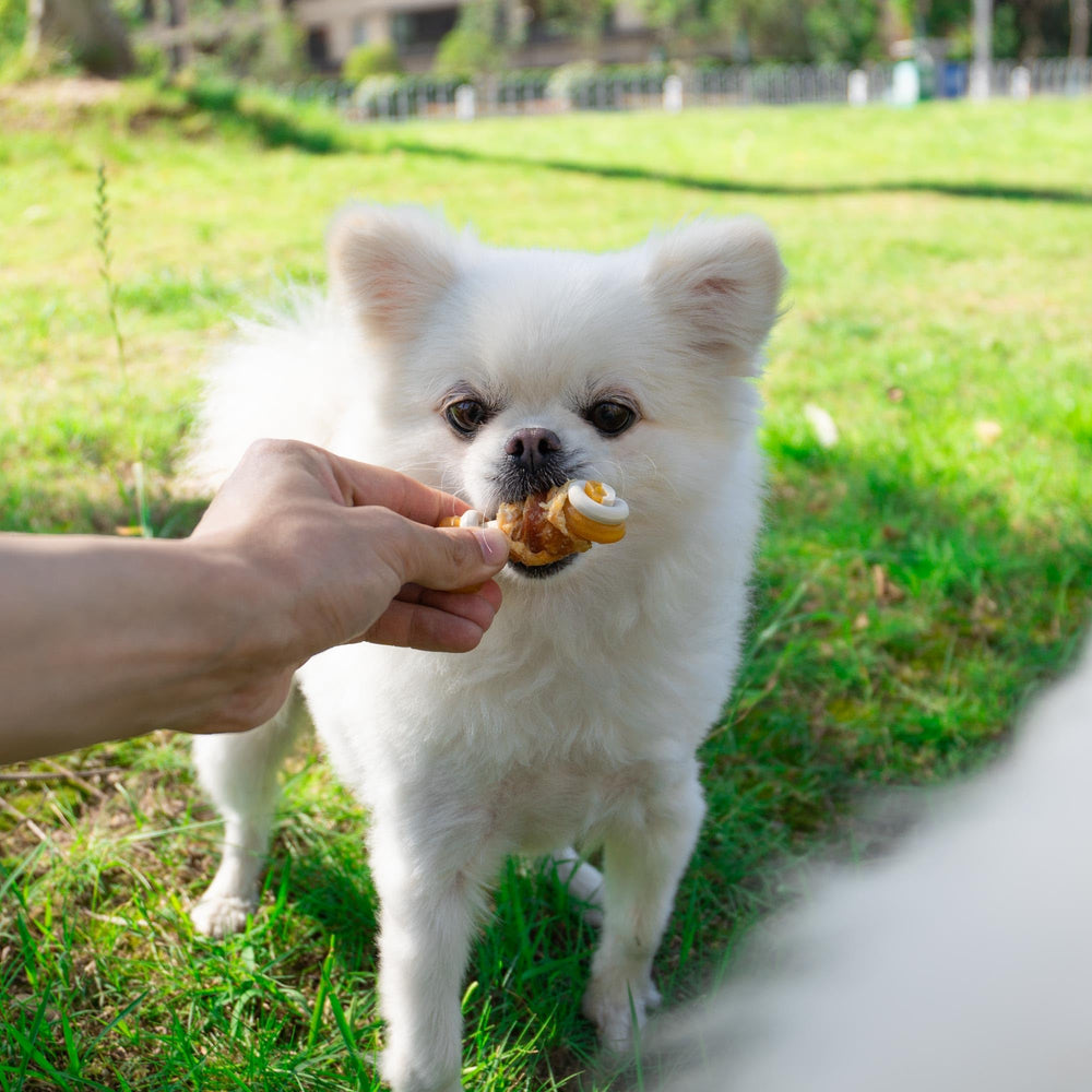 MON2SUN dental-friendly chew supporting cleaning during chewing sessions