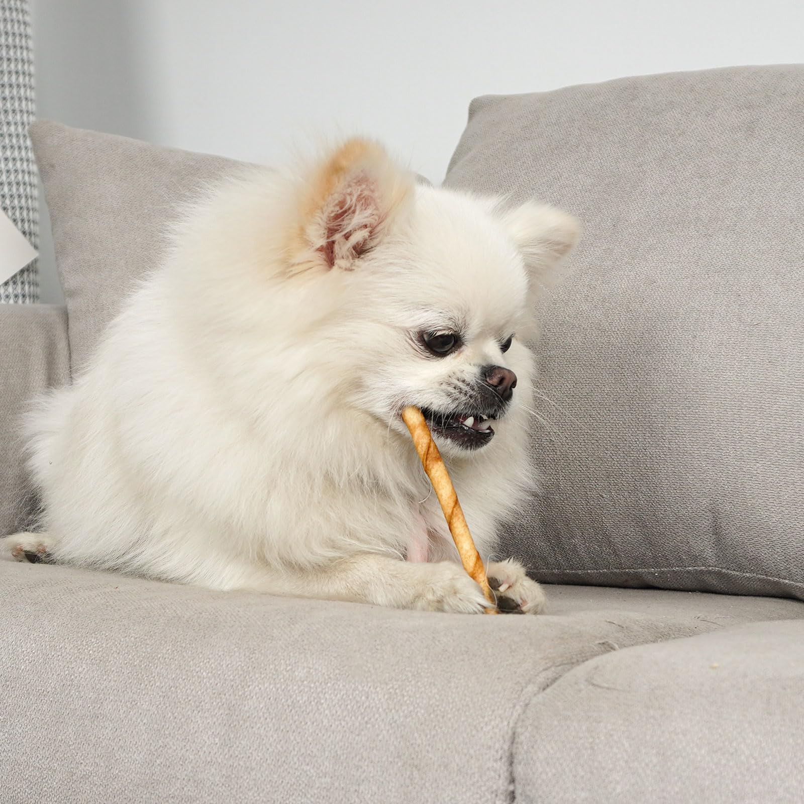 MON2SUN sticks may help fresh breath during chew time