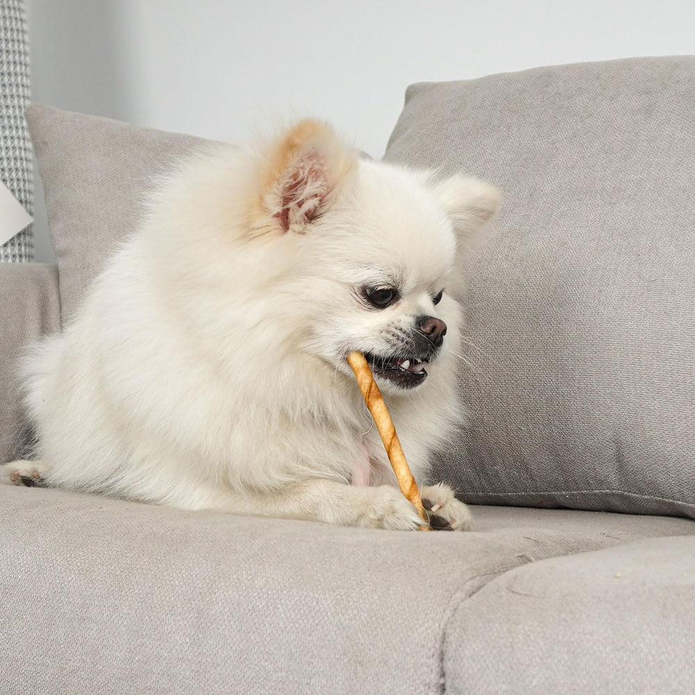 MON2SUN sticks may help fresh breath during chew time